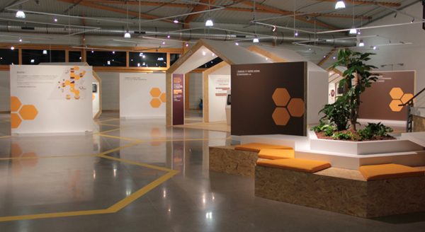 Conception des espaces et de la circulation dans le showroom Baoene